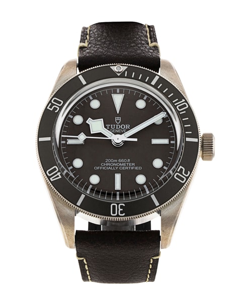 Tudor Black Bay 58 M79010SG-0001